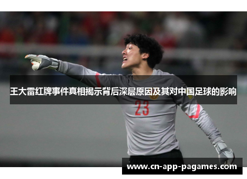 王大雷红牌事件真相揭示背后深层原因及其对中国足球的影响