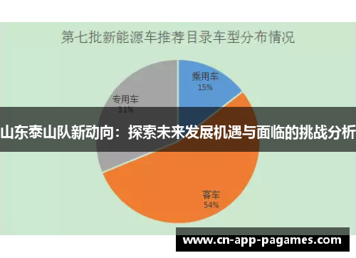 山东泰山队新动向:探索未来发展机遇与面临的挑战分析