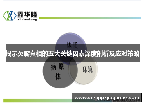 揭示欠薪真相的五大关键因素深度剖析及应对策略