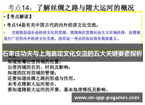石家庄功夫与上海嘉定文化交流的五大关键要素探析