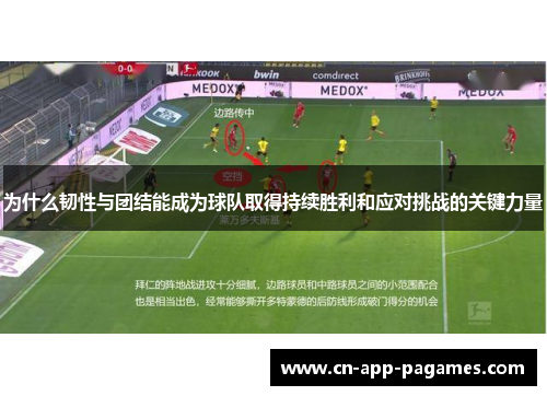 为什么韧性与团结能成为球队取得持续胜利和应对挑战的关键力量