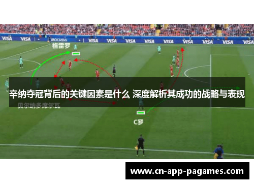 辛纳夺冠背后的关键因素是什么 深度解析其成功的战略与表现