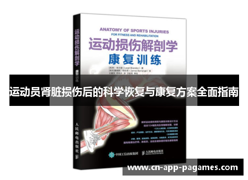 运动员肾脏损伤后的科学恢复与康复方案全面指南 运动员肾脏损伤后的科学恢复与康复方案全面指南