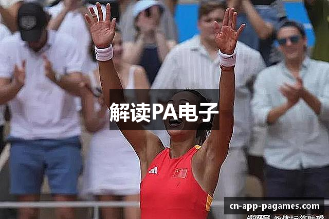 解读PA电子